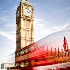 Meet your Posher, Reagan